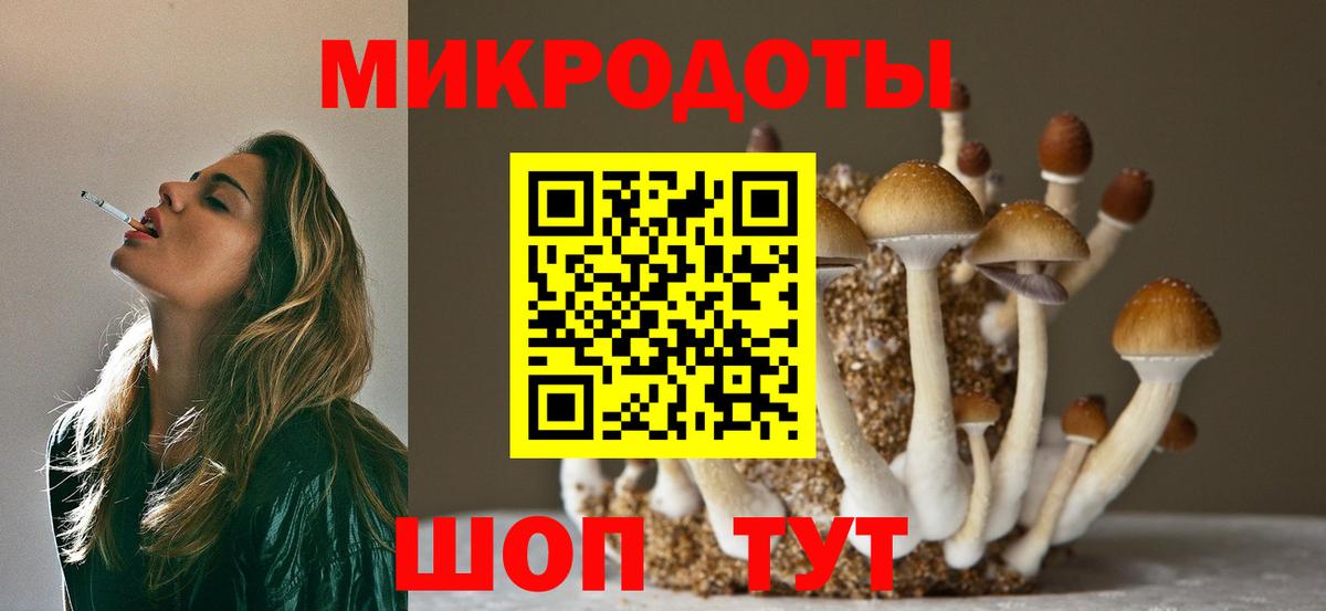 Псилоцибиновые грибы Psilocybe  Вход с VPN  Симферополь 